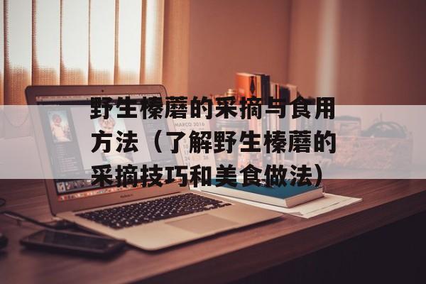 野生榛蘑的采摘与食用方法（了解野生榛蘑的采摘技巧和美食做法）-第1张图片-