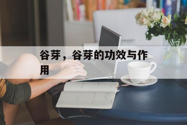 谷芽，谷芽的功效与作用-第1张图片-