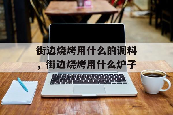 街边烧烤用什么的调料，街边烧烤用什么炉子-第1张图片-