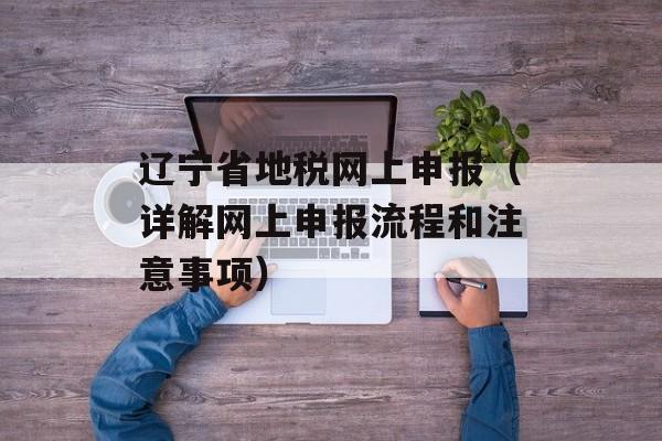 辽宁省地税网上申报（详解网上申报流程和注意事项）-第1张图片-