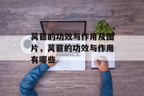 莴苣的功效与作用及图片，莴苣的功效与作用有哪些-第1张图片-