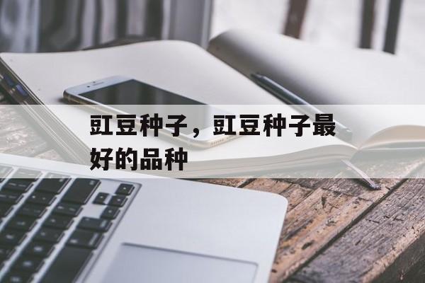 豇豆种子，豇豆种子最好的品种-第1张图片-