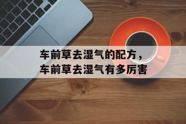 车前草去湿气的配方，车前草去湿气有多厉害-第1张图片-