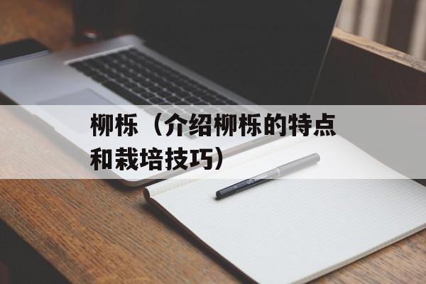 柳栎（介绍柳栎的特点和栽培技巧）-第1张图片-