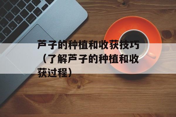 芦子的种植和收获技巧（了解芦子的种植和收获过程）-第1张图片-