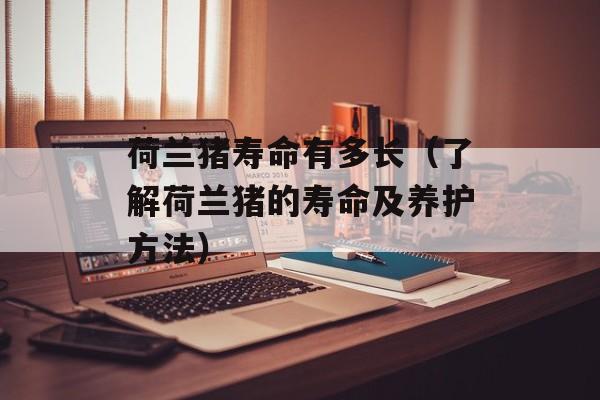 荷兰猪寿命有多长（了解荷兰猪的寿命及养护方法）-第1张图片-