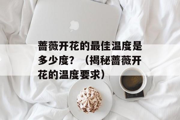 蔷薇开花的最佳温度是多少度？（揭秘蔷薇开花的温度要求）-第1张图片-