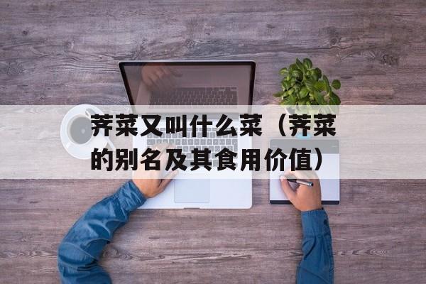 荠菜又叫什么菜（荠菜的别名及其食用价值）-第1张图片-