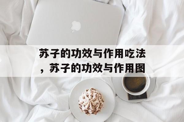 苏子的功效与作用吃法，苏子的功效与作用图-第1张图片-
