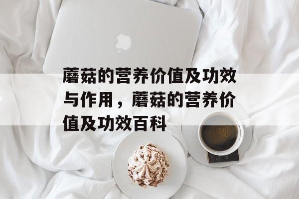 蘑菇的营养价值及功效与作用，蘑菇的营养价值及功效百科-第1张图片-