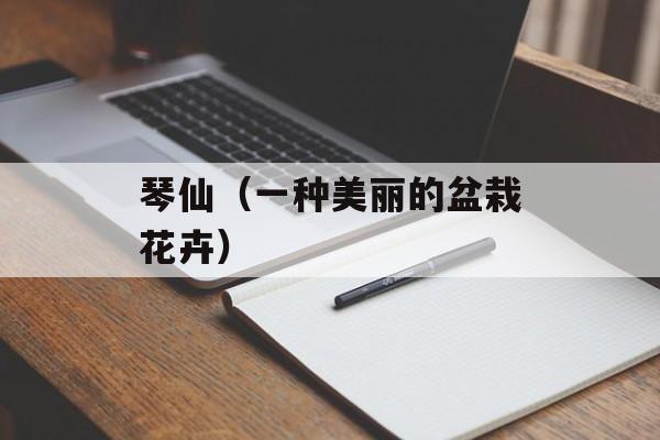 琴仙（一种美丽的盆栽花卉）-第1张图片-