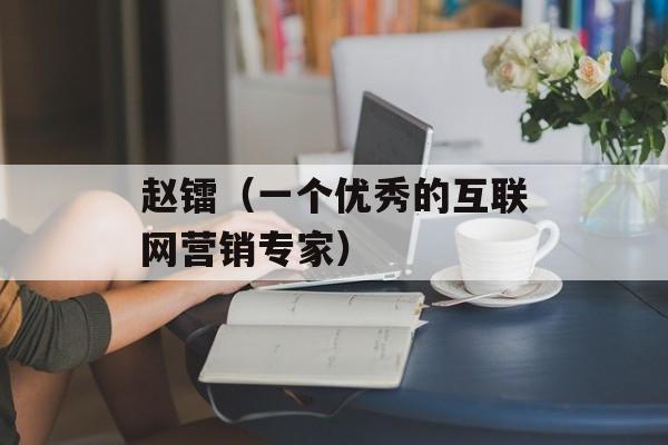 赵镭（一个优秀的互联网营销专家）-第1张图片-