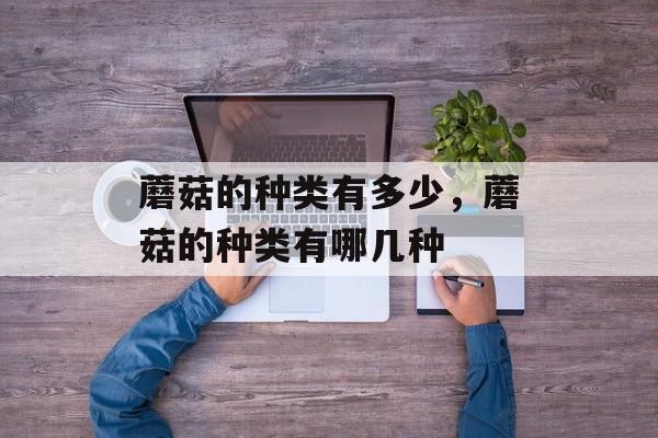 蘑菇的种类有多少，蘑菇的种类有哪几种-第1张图片-