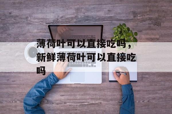 薄荷叶可以直接吃吗，新鲜薄荷叶可以直接吃吗-第1张图片-