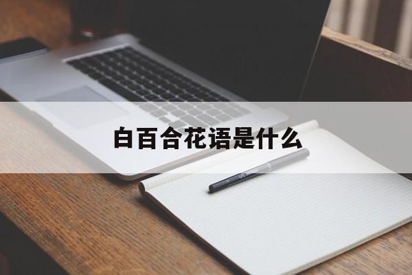 白百合花语是什么-第1张图片-