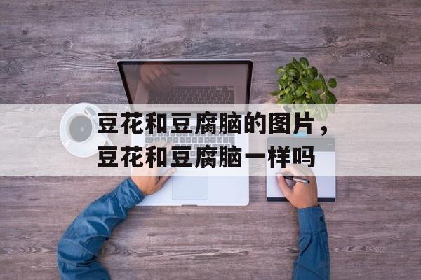 豆花和豆腐脑的图片，豆花和豆腐脑一样吗-第1张图片-