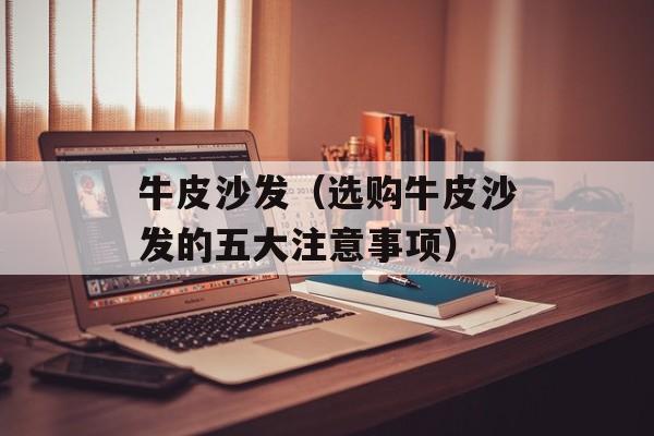 牛皮沙发（选购牛皮沙发的五大注意事项）-第1张图片-