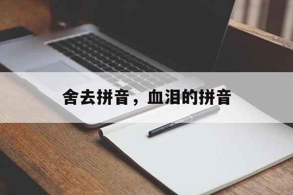 舍去拼音，血泪的拼音-第1张图片-