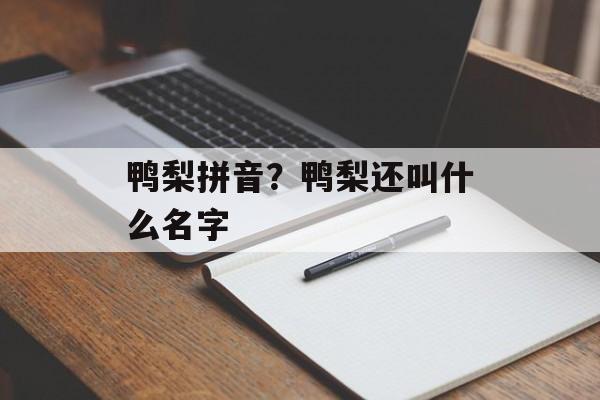 鸭梨拼音？鸭梨还叫什么名字-第1张图片-