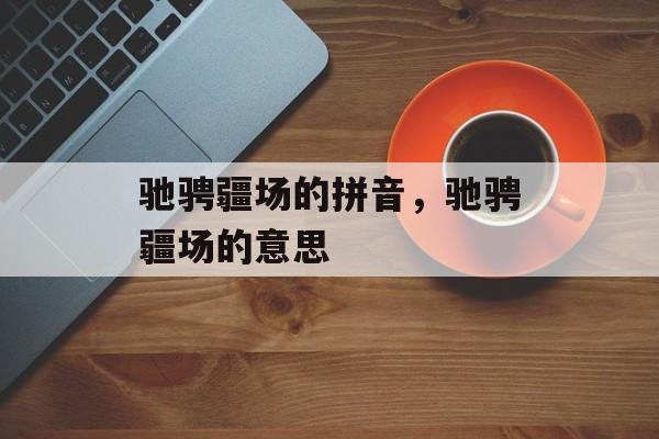 驰骋疆场的拼音，驰骋疆场的意思-第1张图片-