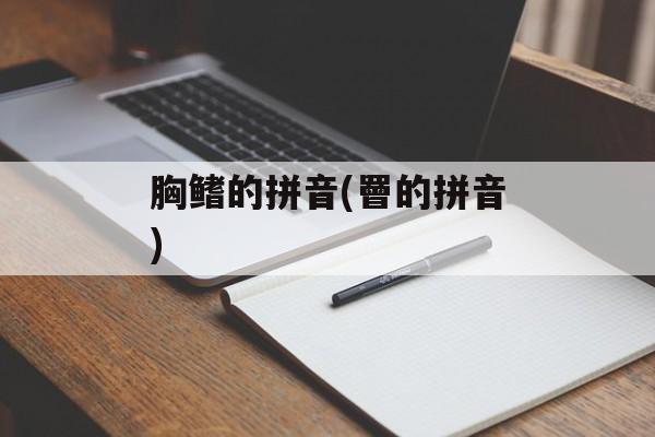 胸鳍的拼音(罾的拼音)-第1张图片-