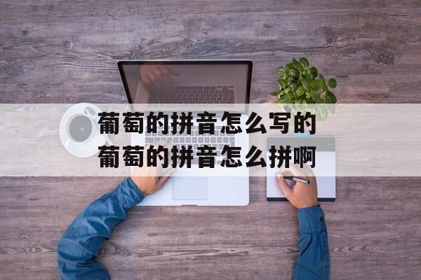 葡萄的拼音怎么写的 葡萄的拼音怎么拼啊-第1张图片-