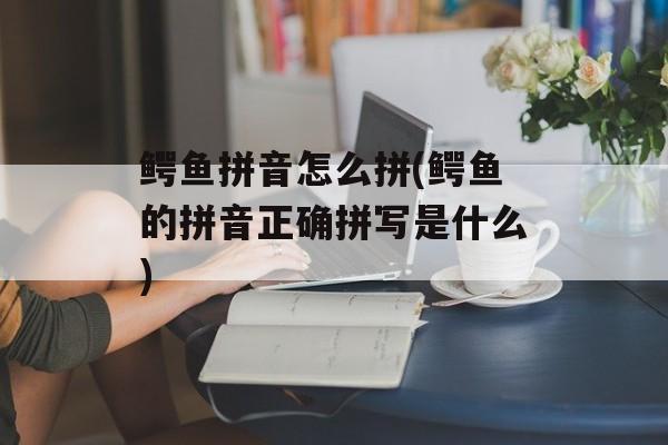 鳄鱼拼音怎么拼(鳄鱼的拼音正确拼写是什么)-第1张图片-