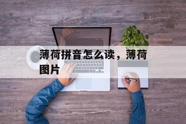 薄荷拼音怎么读，薄荷图片-第1张图片-