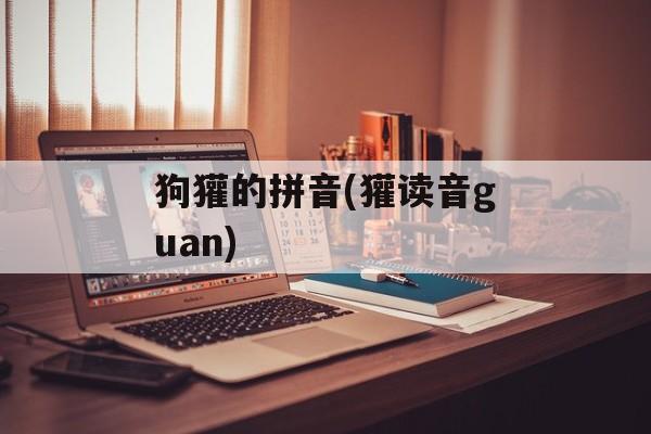 狗獾的拼音(獾读音guan)-第1张图片-