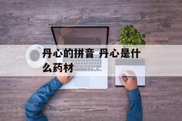 丹心的拼音 丹心是什么药材-第1张图片-