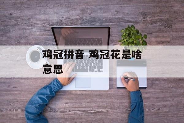 鸡冠拼音 鸡冠花是啥意思-第1张图片-