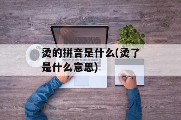 烫的拼音是什么(烫了是什么意思)-第1张图片-