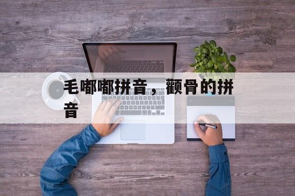 毛嘟嘟拼音，颧骨的拼音-第1张图片-