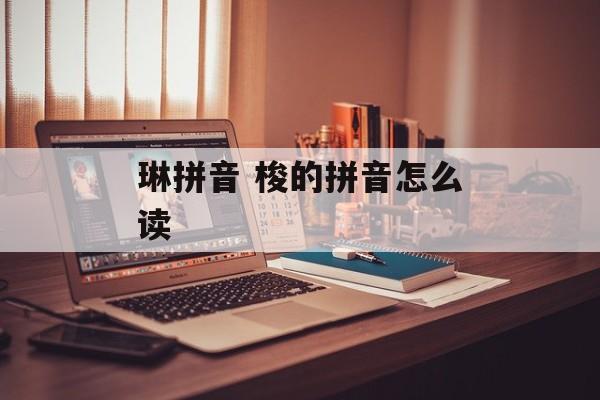 琳拼音 梭的拼音怎么读-第1张图片-