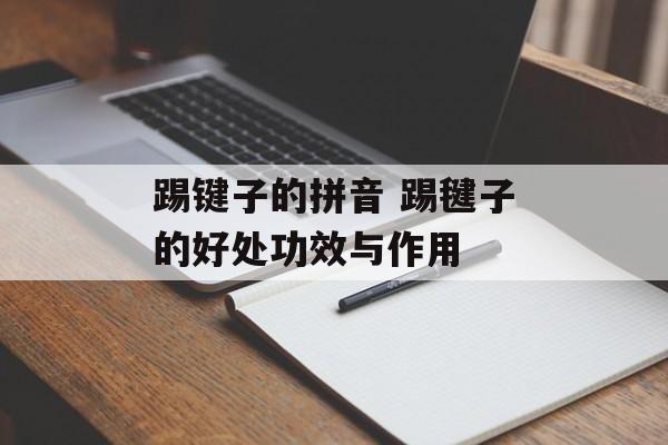 踢键子的拼音 踢毽子的好处功效与作用-第1张图片-