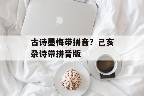 古诗墨梅带拼音？己亥杂诗带拼音版-第1张图片-