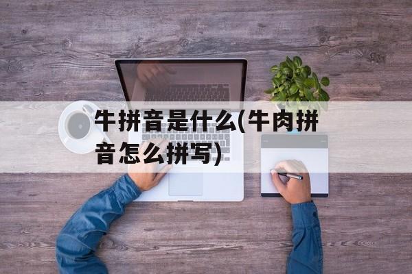 牛拼音是什么(牛肉拼音怎么拼写)-第1张图片-