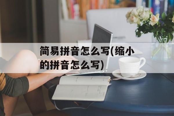 简易拼音怎么写(缩小的拼音怎么写)-第1张图片-
