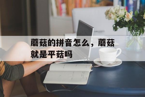 蘑菇的拼音怎么，蘑菇就是平菇吗-第1张图片-