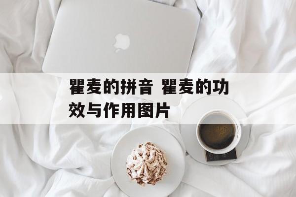 瞿麦的拼音 瞿麦的功效与作用图片-第1张图片-