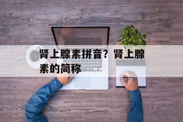肾上腺素拼音？肾上腺素的简称-第1张图片-