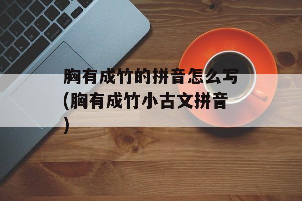 胸有成竹的拼音怎么写(胸有成竹小古文拼音)-第1张图片-