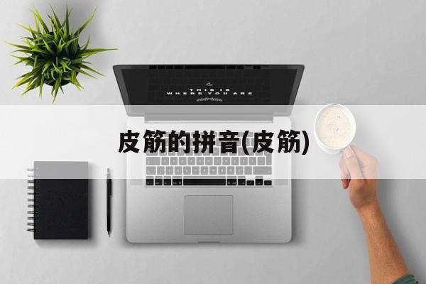 皮筋的拼音(皮筋)-第1张图片-