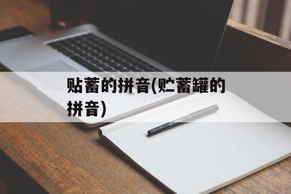 贴蓄的拼音(贮蓄罐的拼音)-第1张图片-