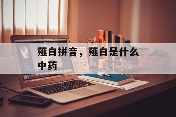 薤白拼音，薤白是什么中药-第1张图片-