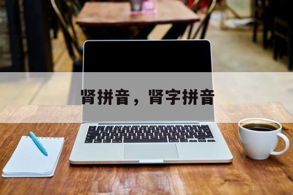 肾拼音，肾字拼音-第1张图片-