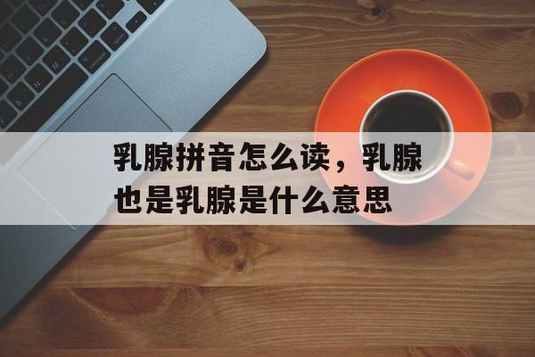 乳腺拼音怎么读，乳腺也是乳腺是什么意思-第1张图片-
