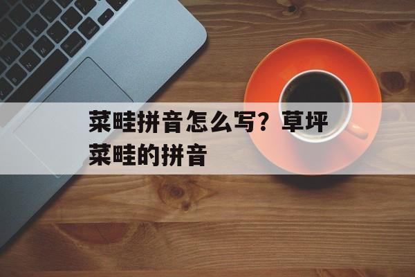 菜畦拼音怎么写？草坪菜畦的拼音-第1张图片-