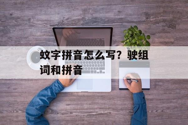 蚊字拼音怎么写？驶组词和拼音-第1张图片-
