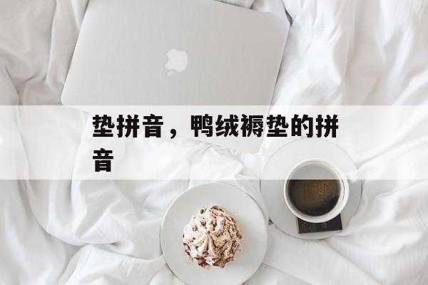垫拼音，鸭绒褥垫的拼音-第1张图片-